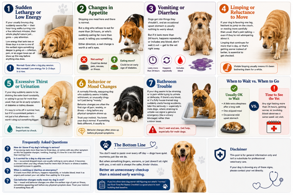 7-Signs-Your-Dog-Needs-a-Vet-Visit-This-Week-happy-pets-home